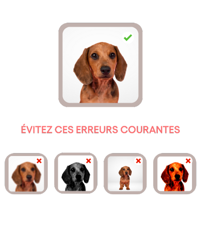 Pour un résultat clair et net