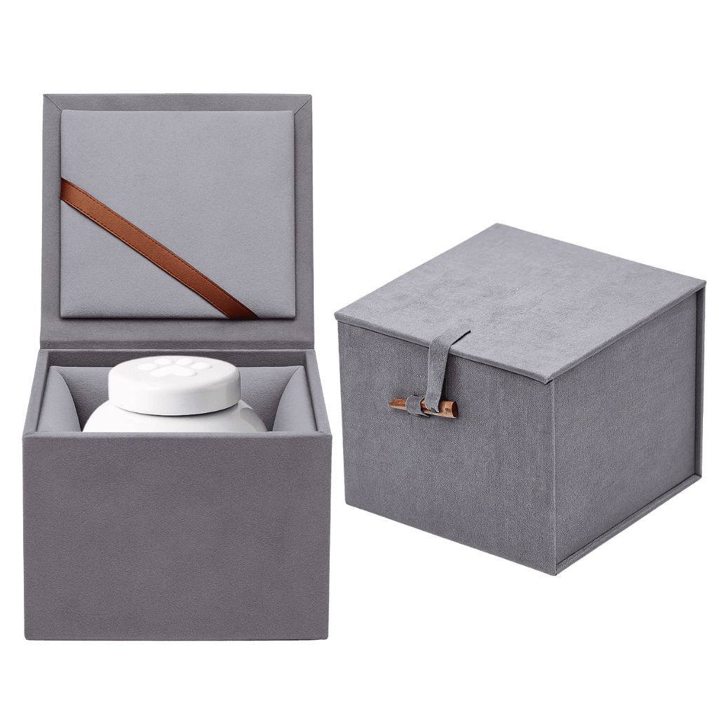 Dog Remembrance Box - Ceramic paw
