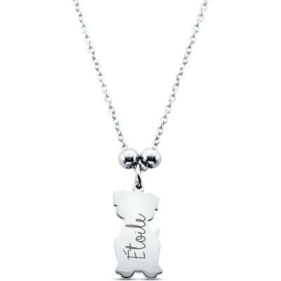 Collier Personnalisé Chien Collier Personnalisé Chien