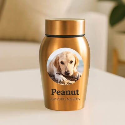 Personalised Dog Urn with Photo in a Heartfelt... Personalised Dog Urn with Photo in a Heartfelt...