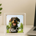 Cadre commémoratif chien personnalisé en acrylique – Plaque photo avec nom et motif cœur-patte