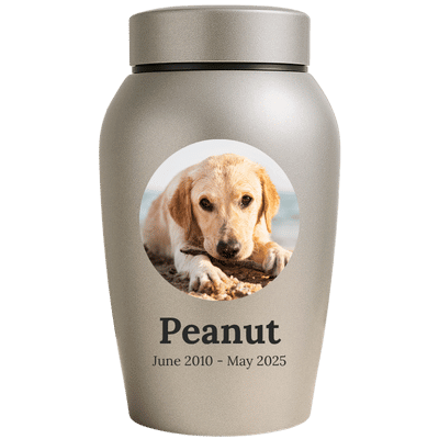 Personalised Dog Urn with Photo in a Heartfelt Halo Frame – Engraved Stainless Steel Memorial Urn with Name & Dates